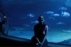 thumbs_image-17