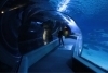 thumbs_image-18