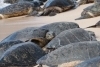 thumbs_image-5