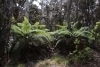 thumbs_image-3