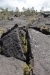 thumbs_image-2
