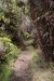 thumbs_image-7