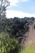 thumbs_image