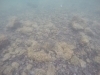 thumbs_image-1