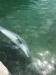 thumbs_image-5