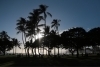 thumbs_image-6