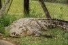 thumbs_img_8397