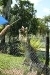 thumbs_img_8476