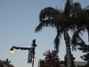 thumbs_4