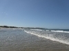 thumbs_img_0619