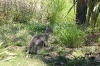 thumbs_img_8749