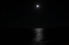 thumbs_img_8790