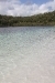 thumbs_1