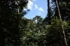 thumbs_3