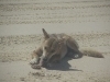 thumbs_4