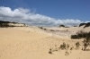 thumbs_2