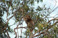 thumbs_img_0257
