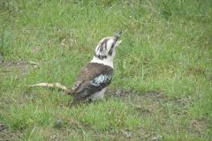 img_1485