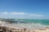 thumbs_img_0895