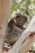 thumbs_img_1318