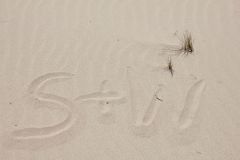 img_1431