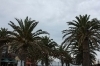 thumbs_img_1716