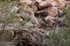 thumbs_img_1876
