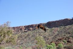 thumbs_img_1770