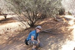 thumbs_img_1797
