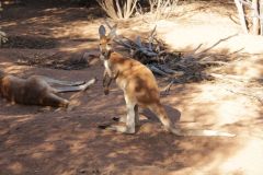 thumbs_img_1798
