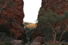 thumbs_img_1847