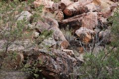 thumbs_img_1876