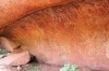 thumbs_img_2576