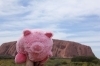 thumbs_img_2717