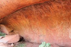 thumbs_img_2576
