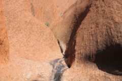 thumbs_img_2681
